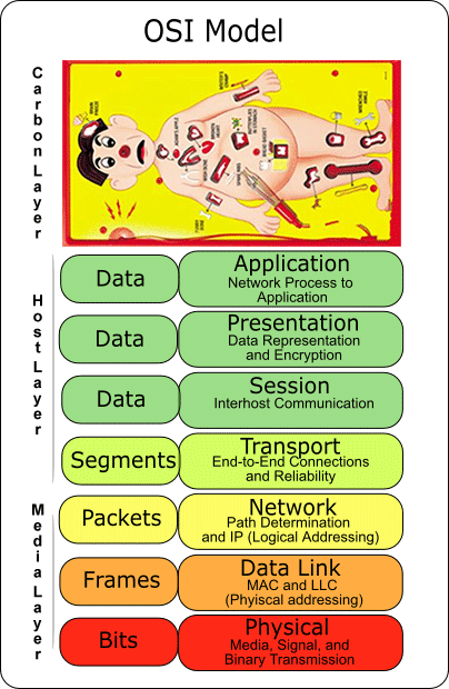 OSI Model Layer 8: The Carbon Layer 